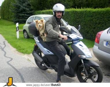 193cmZWERG-RALF-MECK-POMM